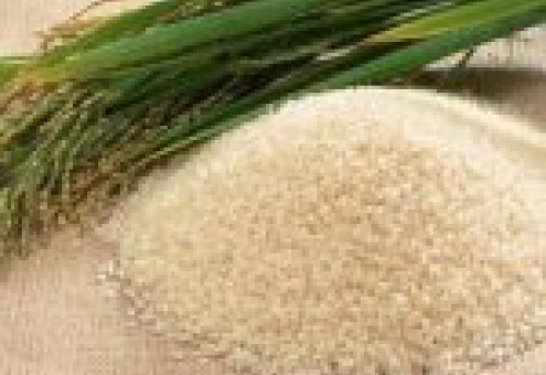 Богатый урожай риса во Вьетнаме не радует крестьян