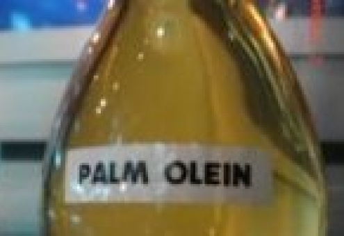 Средняя стоимость пальмового масла снизилась в мае