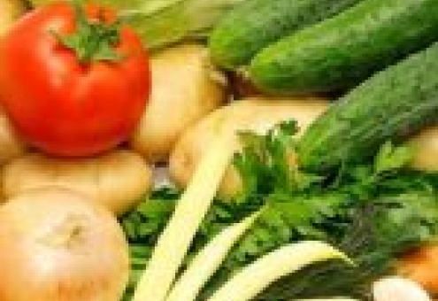 В Гродненской области пройдет Евразийский форум овощеводов