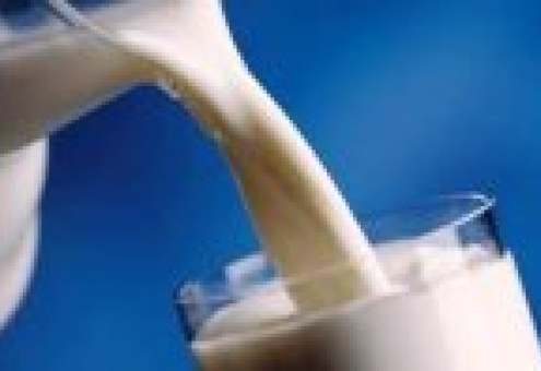 Термин «молочный напиток» будет применяться на территории ТС
