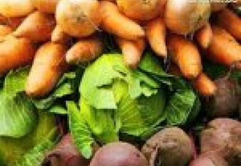 Минская область намерена получить в этом году 130 тыс.т овощей