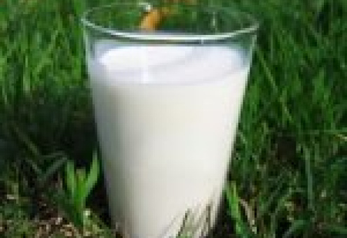 Латвия перерасходовала годовую квоту по молоку