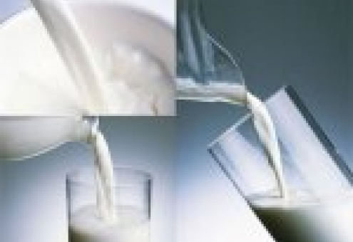 В Таможенном Союзе завершается разработка техрегламентов на молочную продукцию
