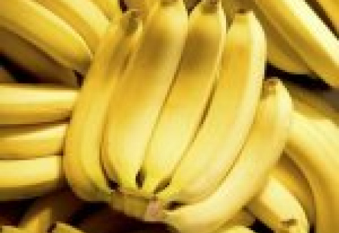 Фруктовые поставщики отпраздновали 100 лет с начала импорта бананов в Европу