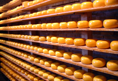 Производство сыров в РФ в январе составило 32,6 тыс. тонн