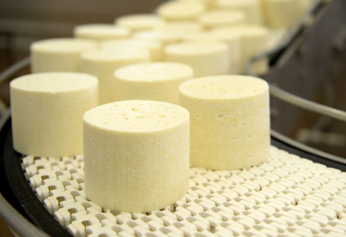Завод по производству элитных сыров появится на Кубани