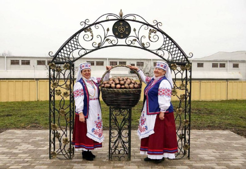 В Беларуси появился ещё один памятник картошке
