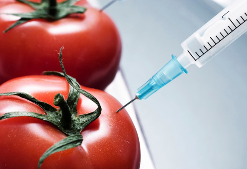 США потребовали от Европы покупать американские ГМО-продукты