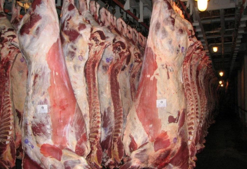 Иран открыл рынок охлажденной говядины и баранины для российских поставщиков