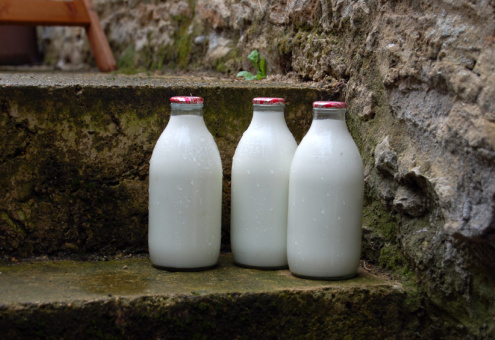 Ближе к покупателю: в Индии можно заказать доставку молока через приложение в телефоне 