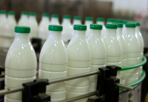 Резервы белорусских предприятий по переработке молока и мяса