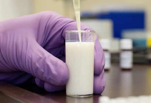 Мининноваций Узбекистана и компания PanaevFarms заключили договор для производства молока от коронавируса