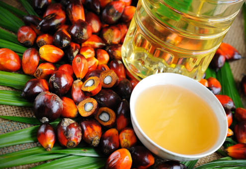 ФАС: акциз на пальмовое масло может повысить цены на продукты
