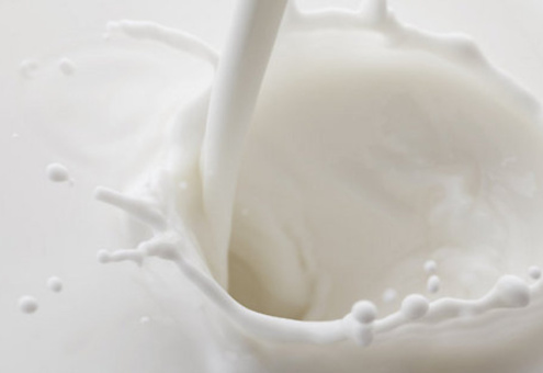 Из-за российских контрсанкций в Германии снизились цены на молоко