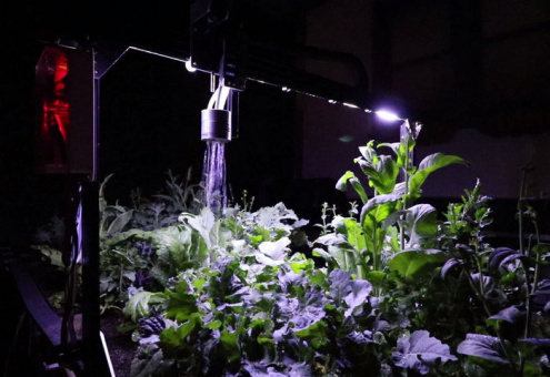 Напечатанный на 3D робот поможет дистанционно выращивать овощи и фрукты