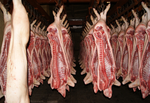 В Латвии продолжают расти цены на свинину