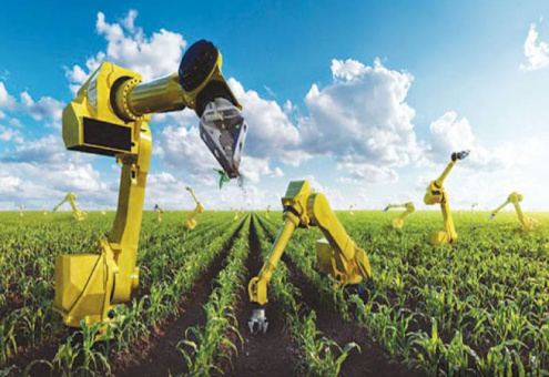 В Японии решили заменить фермеров роботами 