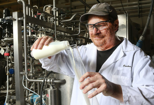 Американские исследователи  увеличили срок годности пастеризованного молока до 63 дней