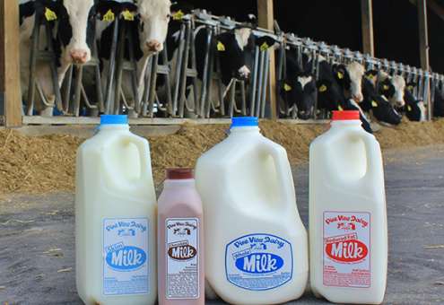 С чем мировой молочный рынок пришел в 2023 год