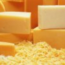 Сыр "Голландский Био" - уникальный для белорусского рынка продукт