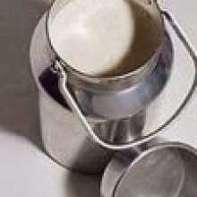 "Беллакт" увеличил производство сухих молочных продуктов