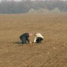 ЕС: намечается раскол в отношении аграрных субсидий