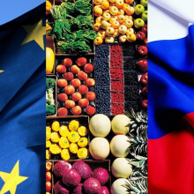 Евросоюз рекордно увеличил экспорт сельхозтоваров в Россию