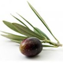 Греческая маслина, похоже, проиграла русскому подсолнечнику