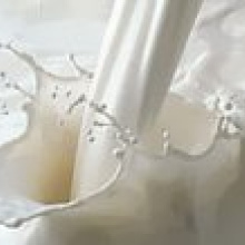ФАО: мировой рынок молока прирастает - исследование