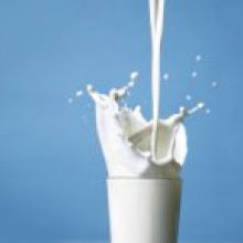 Эксперты FAO опасаются бесконтрольного роста мировых цен на молоко в этом году