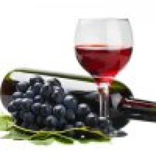В Севастополе планируют возродить производство вина древних греков