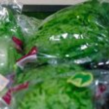 Эпидемиологи запретили есть вымытый и порезанный салат, продаваемый в пакетах
